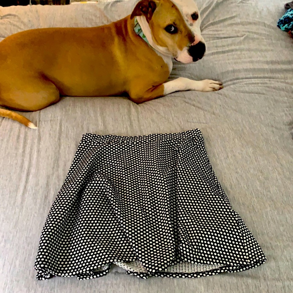 Black and white polkadot skirt, dog not included